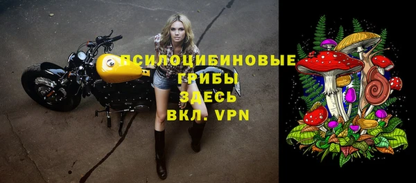 apvp Нея